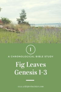 Link to a Bible Study Blog Post on Genesis 1-3