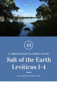 Link to a Bible Study Blog Post #43 - Salt of the Earth 
